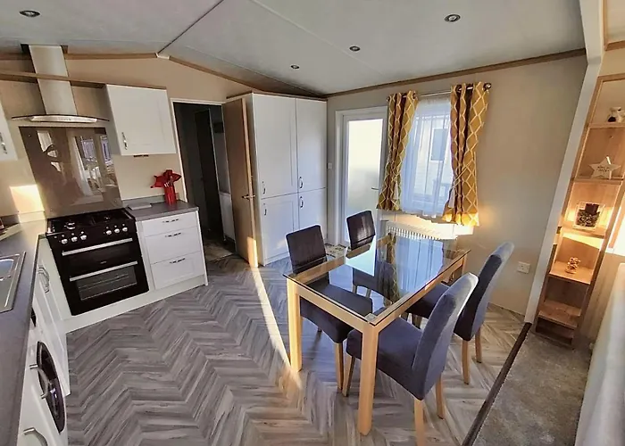 Discover, Enjoy Ultra-Fast Starlink Wifi Lodge