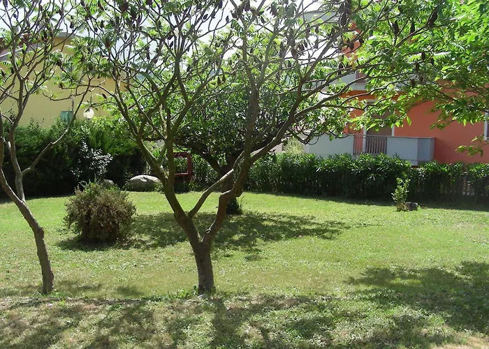 Pier Delle Vigne B&B Pineto