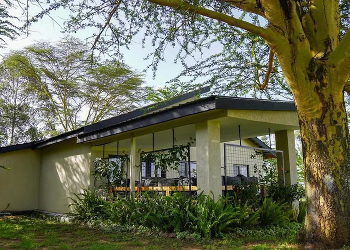 The Cabin