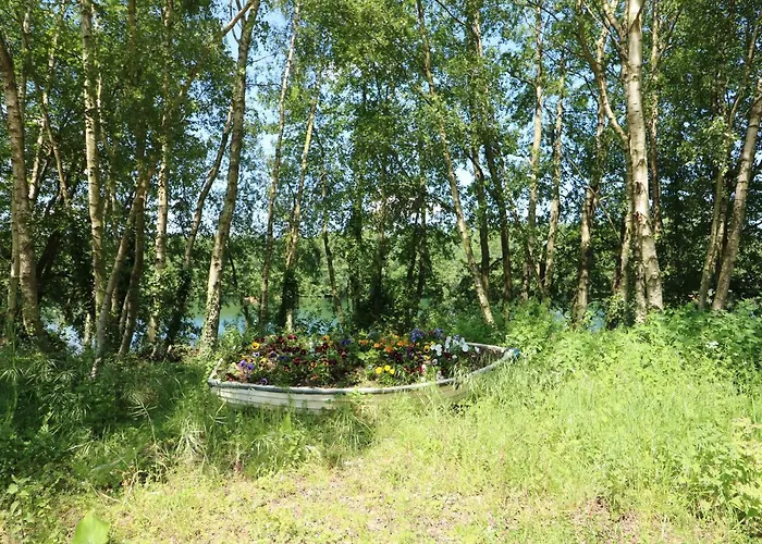 Lakeside View