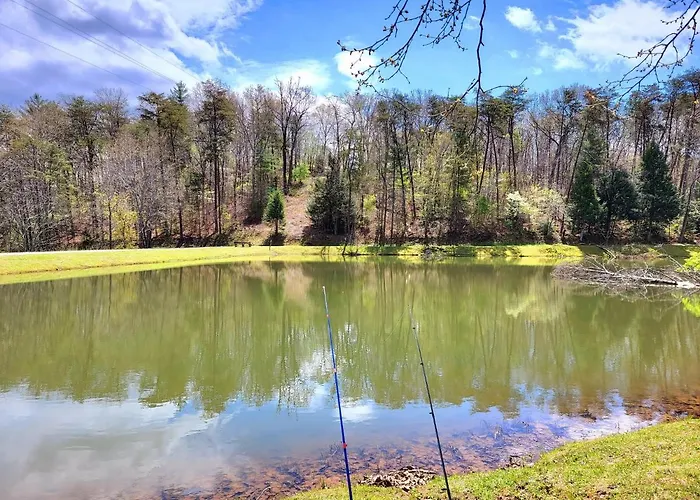 Luxury Cabin With Waterview And Privacy, Hiking