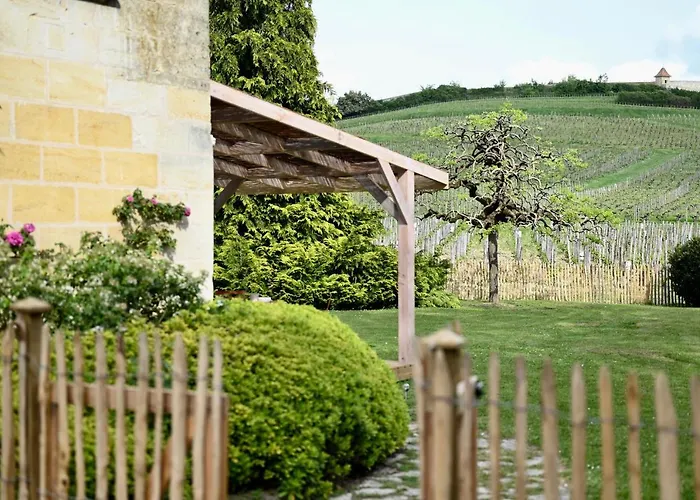 Vue Sur Les Vignes Du Chateau La Gaffeliere - Saint-Emilion Grand Cru