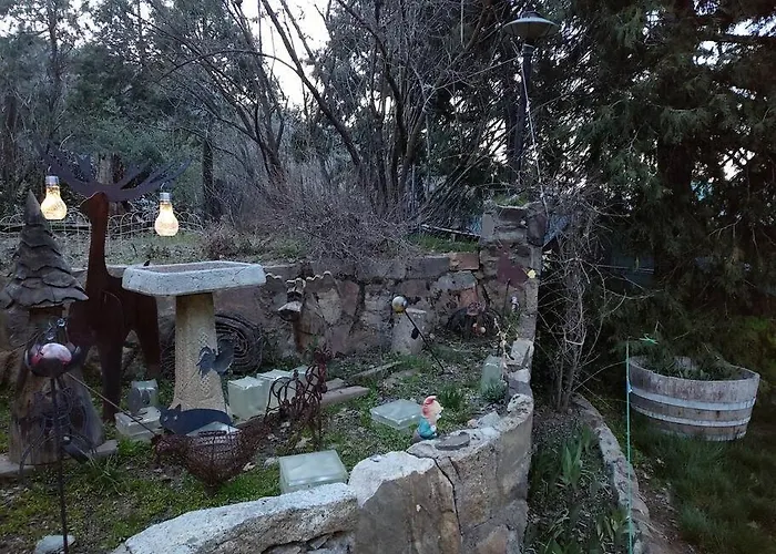 O'Brien'S Oasis