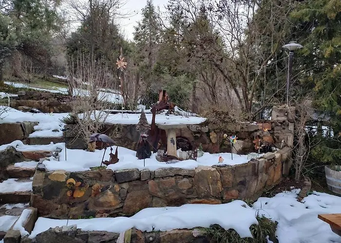 O'Brien'S Oasis