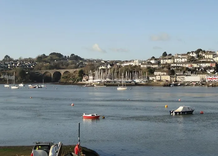 Tamar View