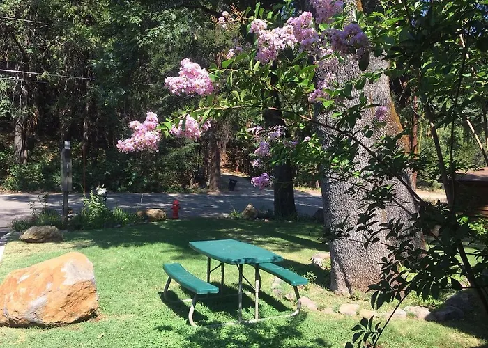 Dunsmuir Lodge