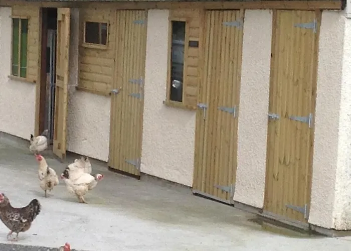 The Little Cow Shed