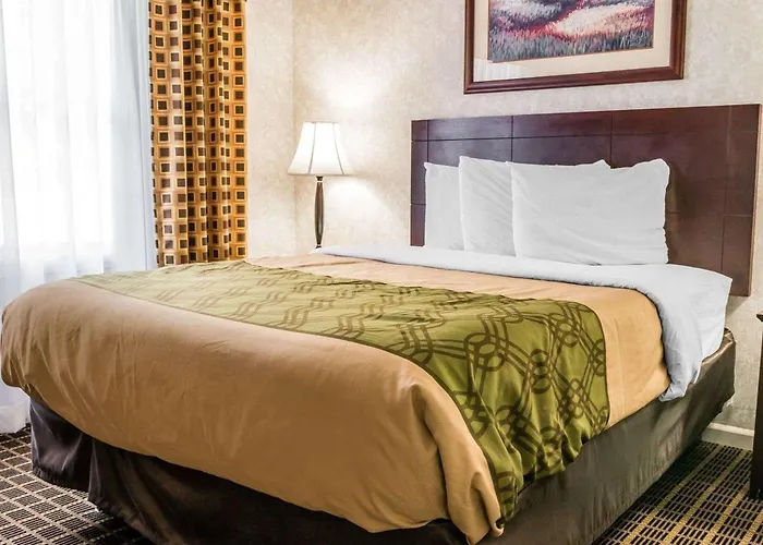 Econo Lodge & Suites Grand Rapids Airport