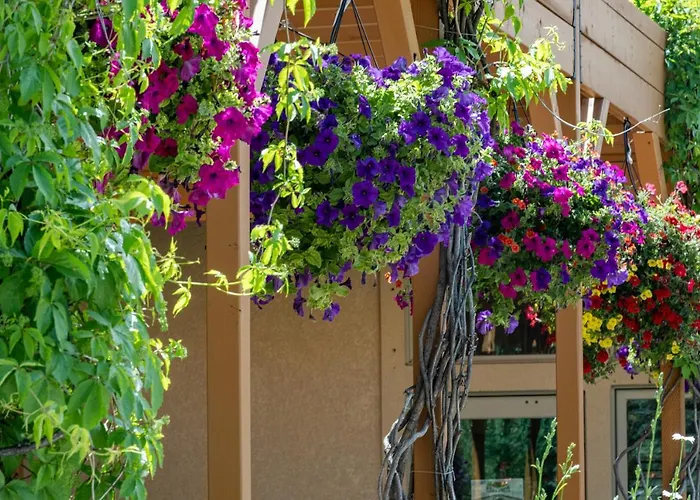 Flying Saddle Resort And Steak House