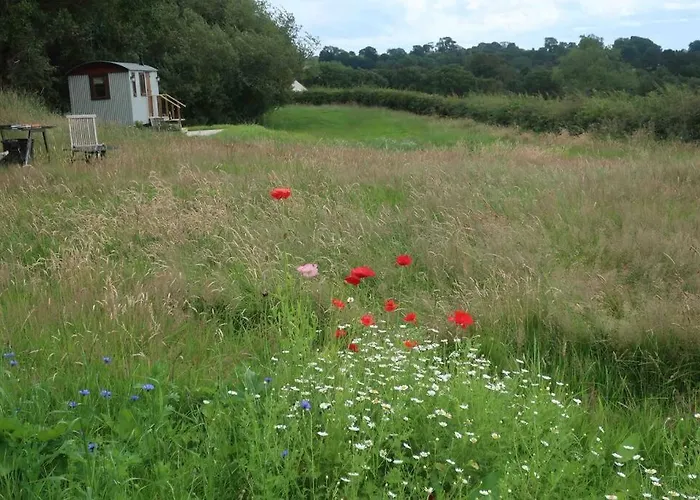 Little Idyll Shepherds Hut