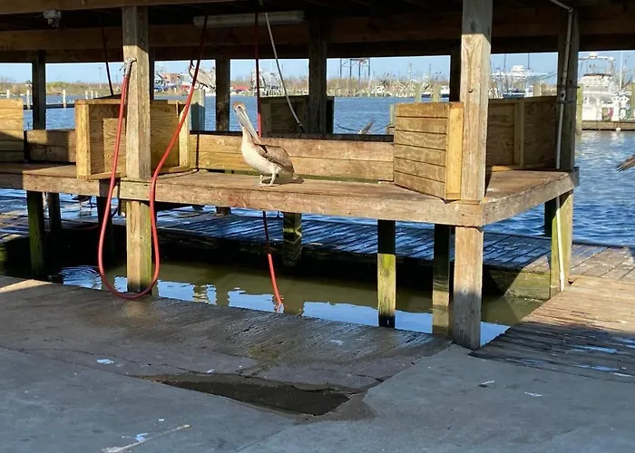 Resort Lodging At Venice Marina W/ Wifi + Private Dock