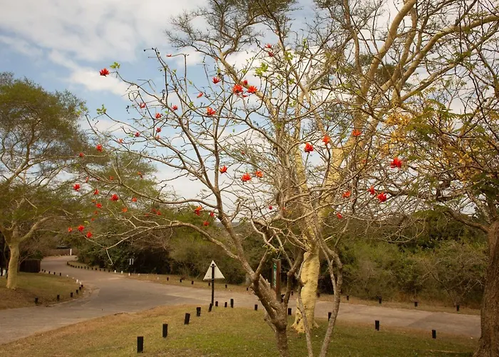 Sodwana Bay Lodge House 58