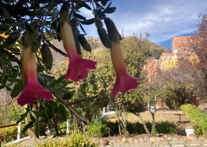 Casa Jardin Recuerdame En Copacabana
