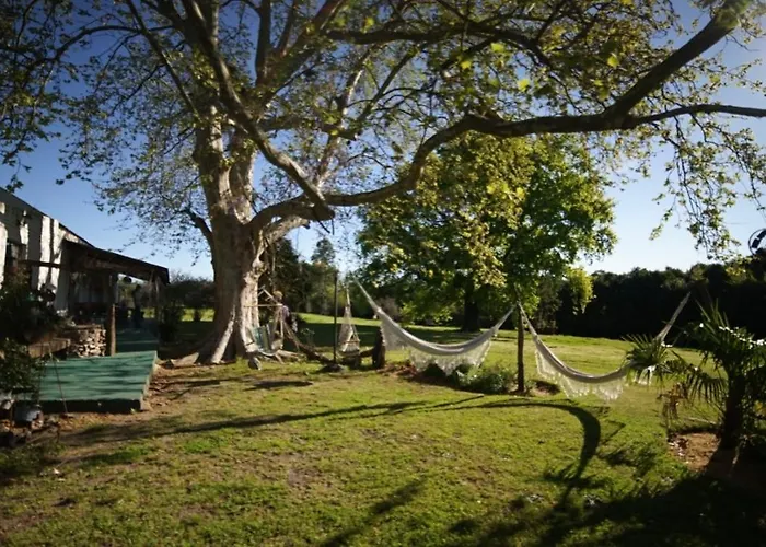 La Casa Del Bosque Carmelo