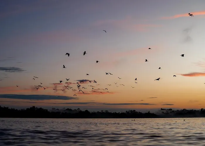 Amak Iquitos Ecolodge - All Inclusive