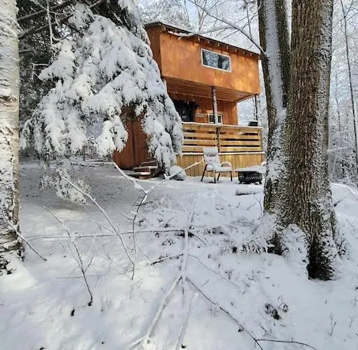 Vana Kuti-Cabin In The Woods