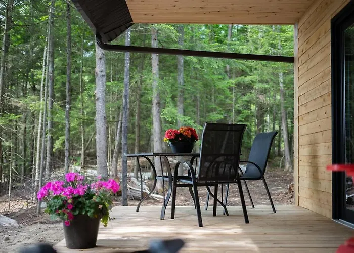 Private Cliffside Chalet Nestled In Nature With Western Sunsets & Waterfront Access Near Algonquin Park- Pass Included