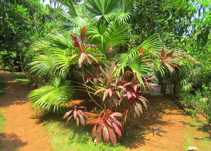 Namaste Yoga Farm