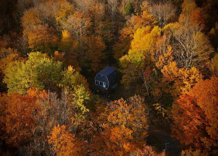 Mandy'S Mountain Chalet