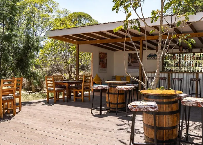 The Treehouse