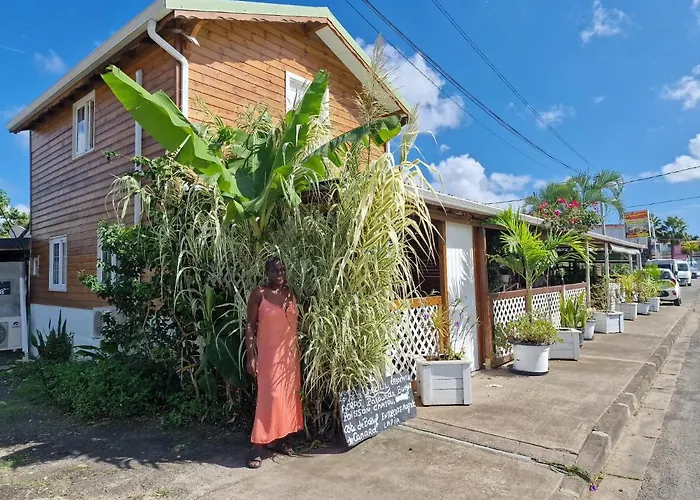 Le Cosy Bungalow De Lili / 5Min De L'Aeroport