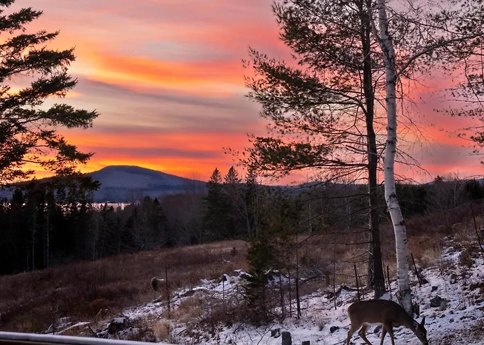 Rangeley Lake House, Lake Access, Saddleback 15Min