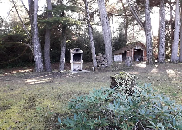 Villa Ancienne Pres Du Centre Avec Grand Parc, Terrasse Et Cuisine Equipee - Fr-1-648-66 Soulac-sur-Mer