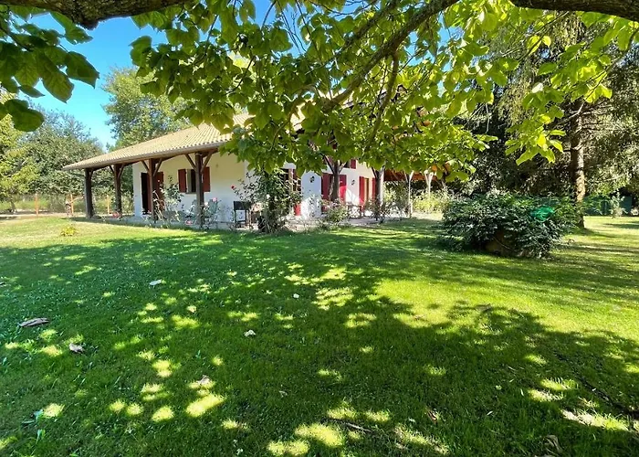 Villa au milieu des pins / bord du lac