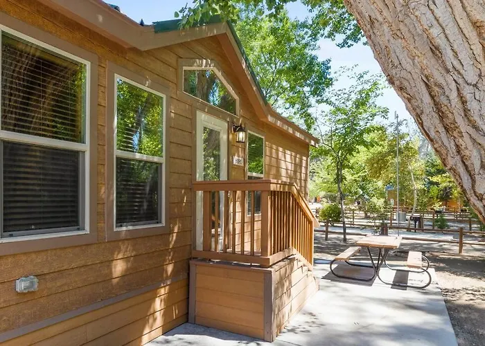 Adorable Little Cabin #21