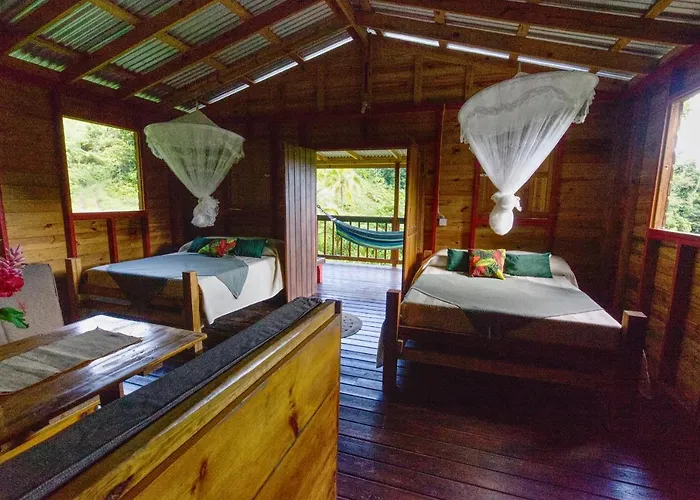 Roots Jungle Retreat