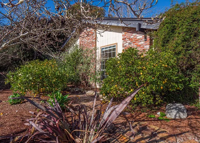 Amazing Santa Cruz Landscaped Paradise