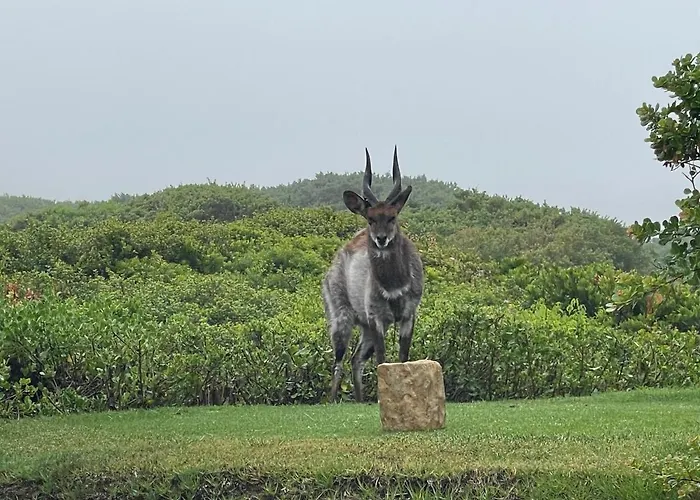 Dunputtin - Pinnacle Point Golf Estate