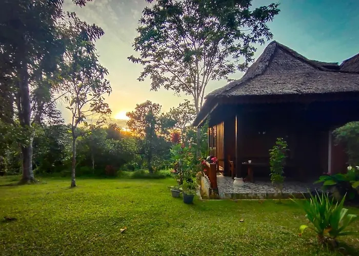 Orangutan Bungalow