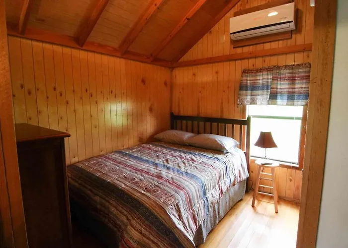 Lakeview Cedar Cabin - 6