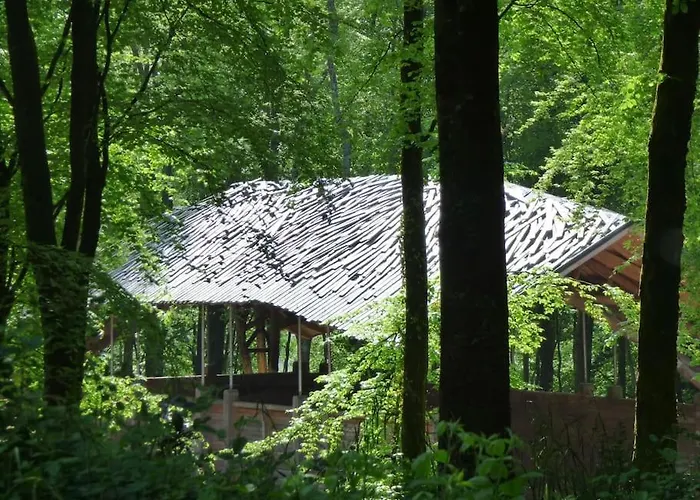 Novelist Shepherd'S Hut