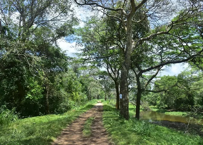 Wilpattu Jungle Resort