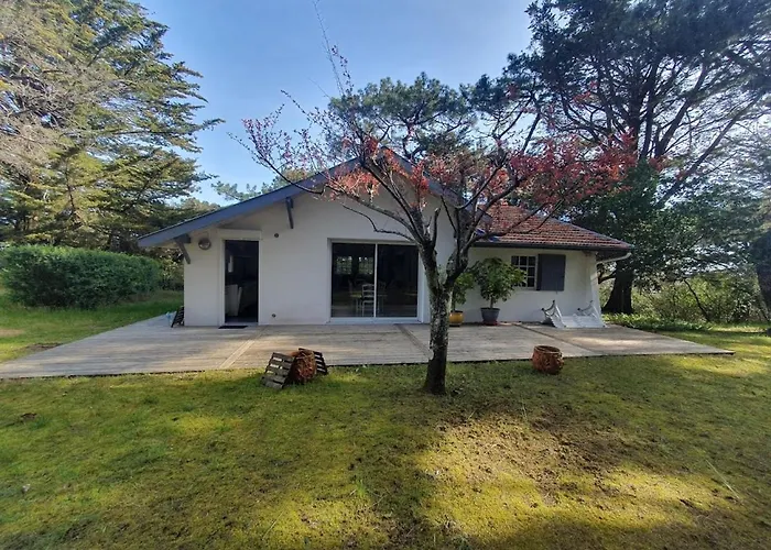 Villa Ancienne Pres Du Centre Avec Grand Parc, Terrasse Et Cuisine Equipee - Fr-1-648-66 Soulac-sur-Mer