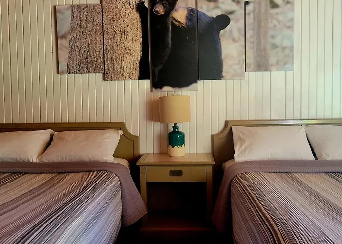 High Falls Motel & Cabins
