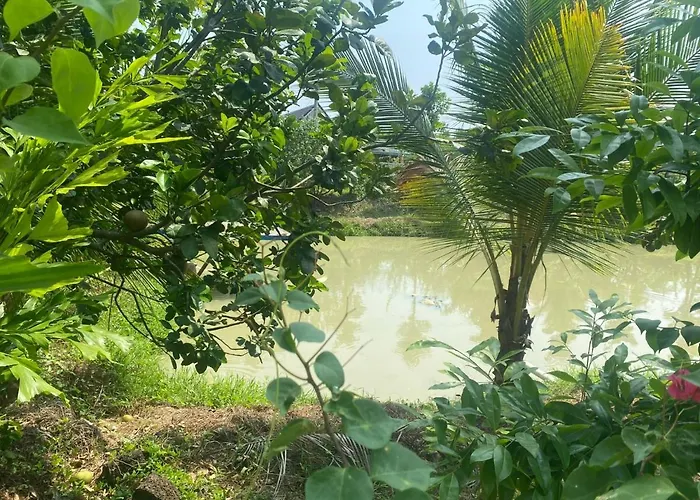 Ngoc Tien Farmer Eco Lodge