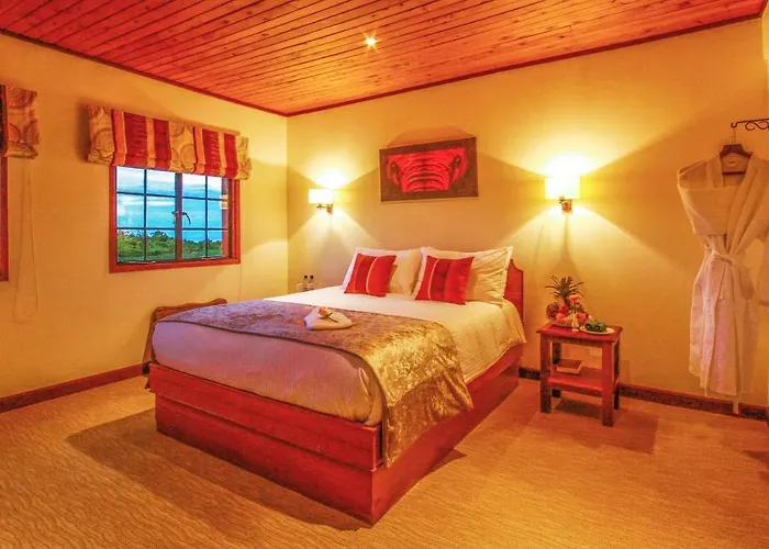 The Ark Lodge