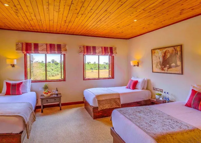 The Ark Lodge