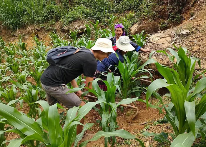 Mu Cang Chai Hostel