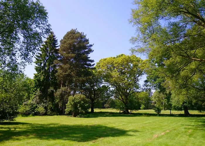 Spinney On The Green