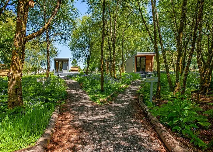 The Stag, Luxury Pod With Hot Tub, Croft4Glamping