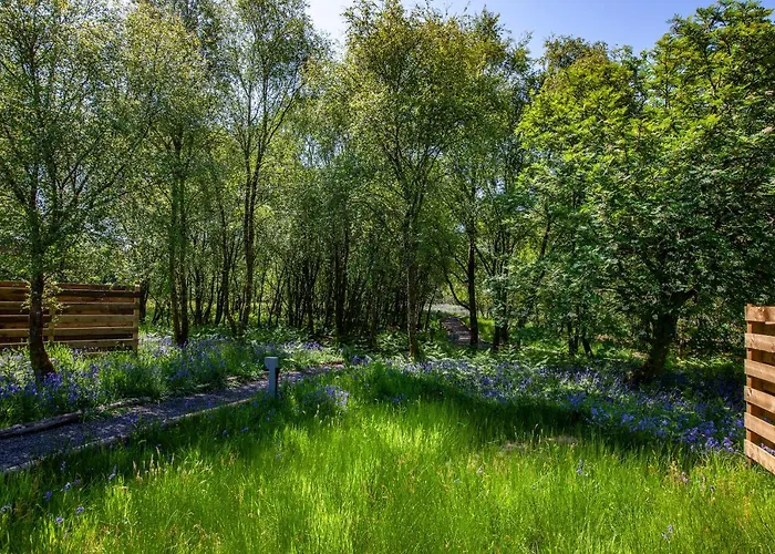 The Stag, Luxury Pod With Hot Tub, Croft4Glamping