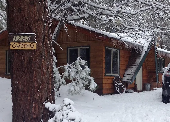Owl Cabin - National Forest + Fireplace | Walk To Lake