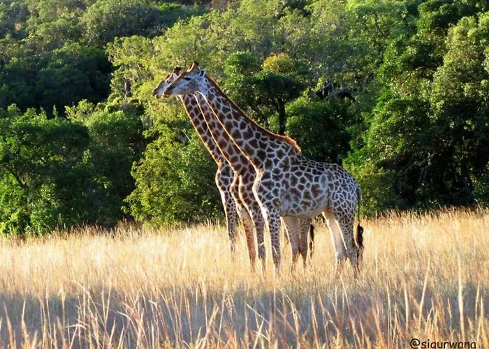 Sigurwana Lodge