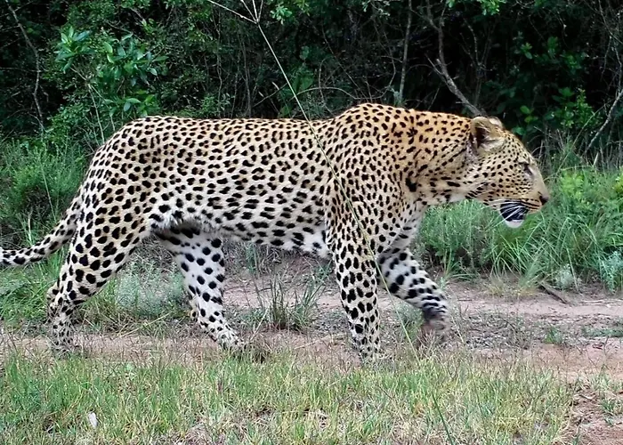 Sigurwana Lodge