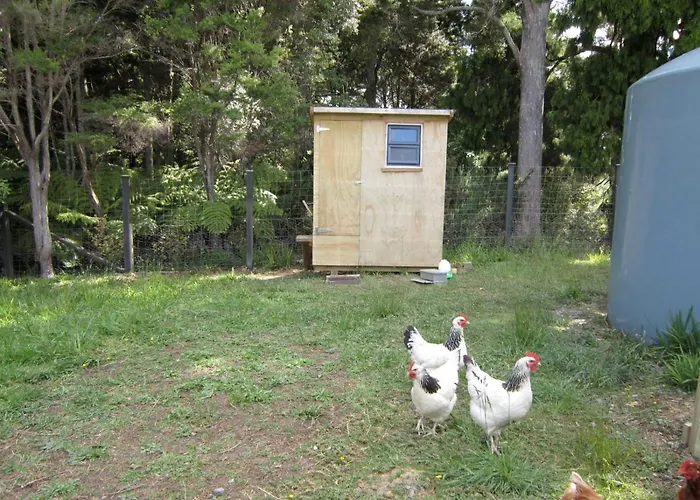The Hen House