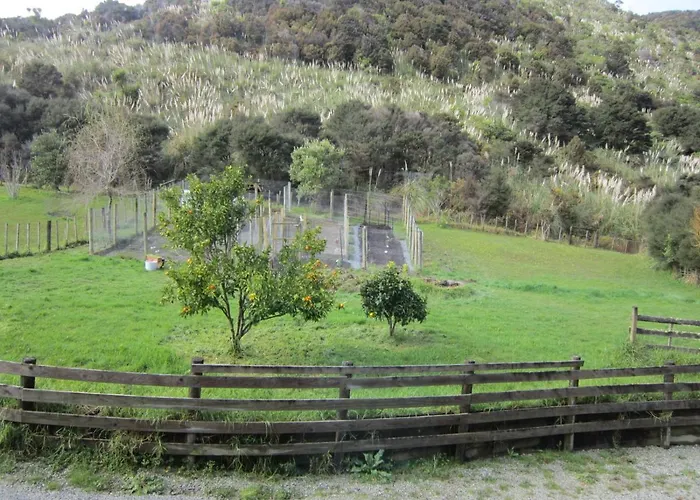 The Hen House